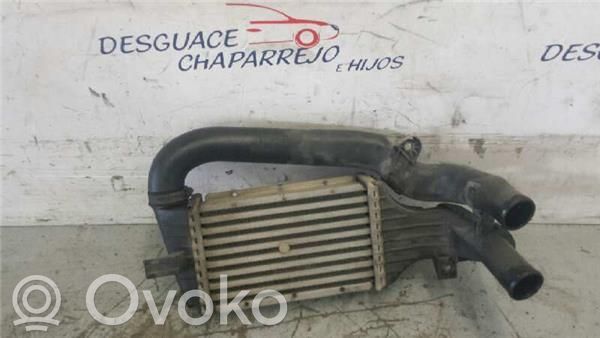 Radiatore intercooler   24406701