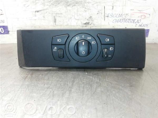 Light switch   6953741