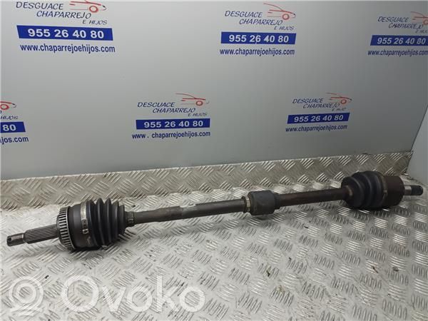 Eje delantero   495002E500
