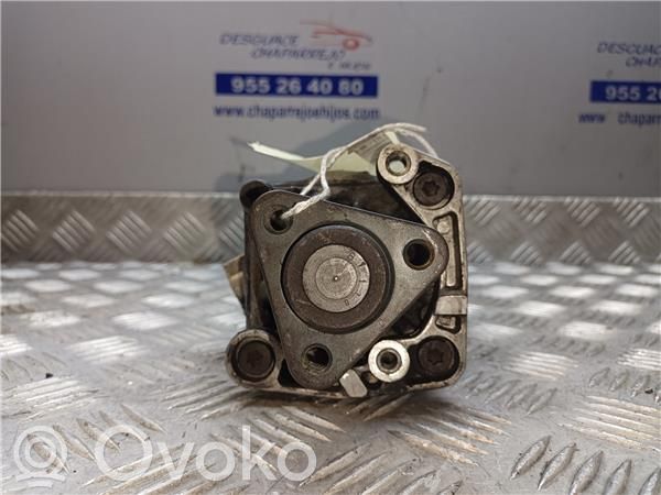 BMW 5 E39 Vairo stiprintuvo siurblys 