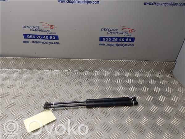 Amortizor capotă motor   51237118370