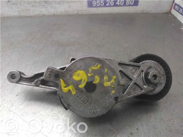 Skoda Octavia Mk1 (1U) Tendicinghia generatore/alternatore