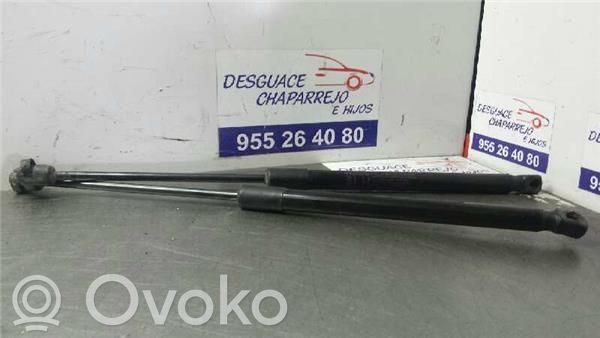 Hyundai i20 (PB PBT) Tampone in gomma portellone posteriore/bagagliaio 