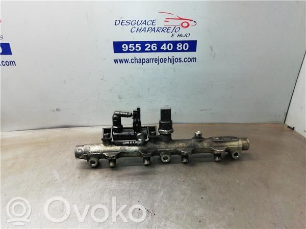 Rampa inyectora   445214017