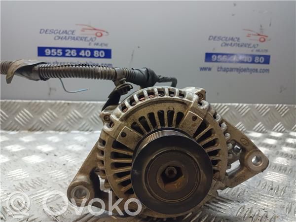 Generator/alternator   373004A300