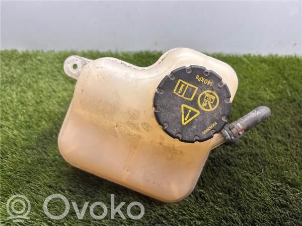 MG ZS Vaso di espansione carburante 