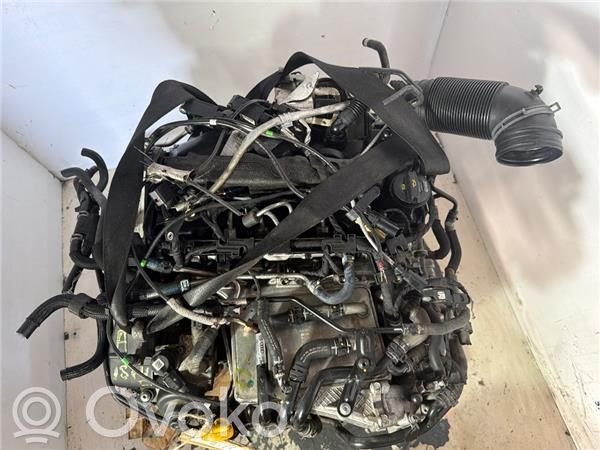 Kit moteur   DFT