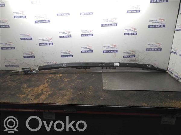 Ford Focus Aizmugurējo durvju drošības spilvens 
