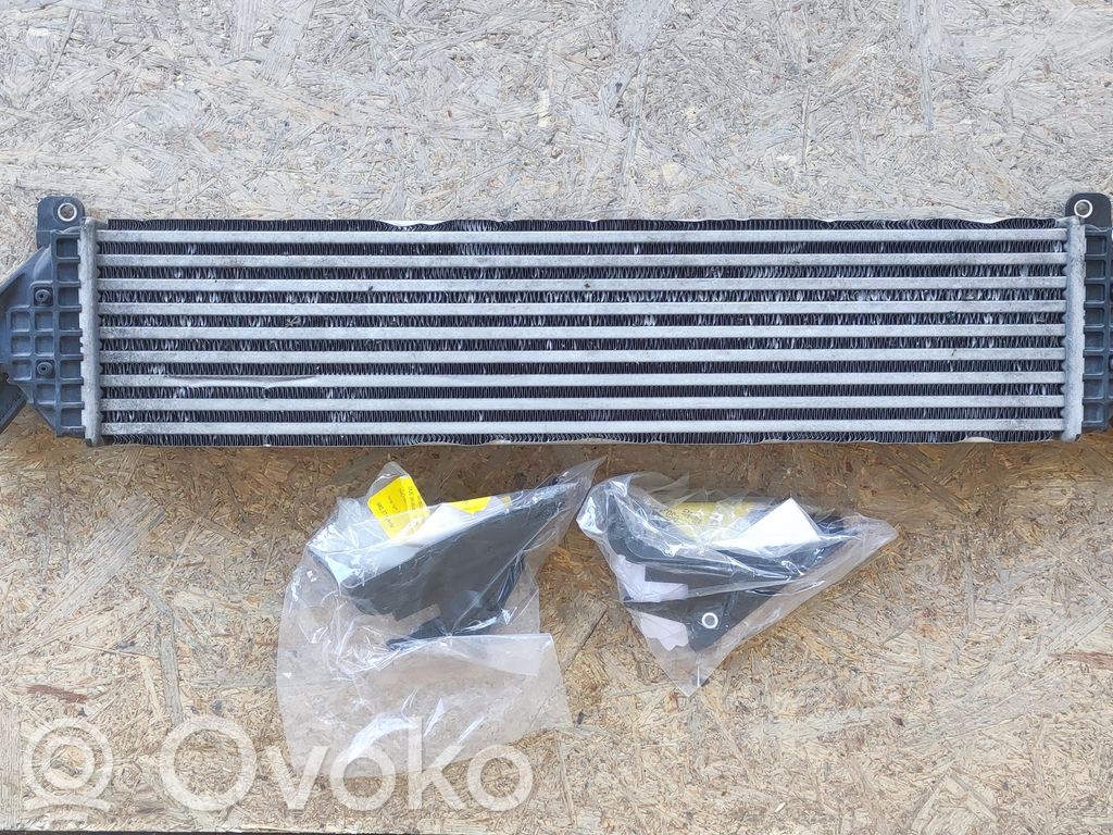 Intercooler radiator   M303