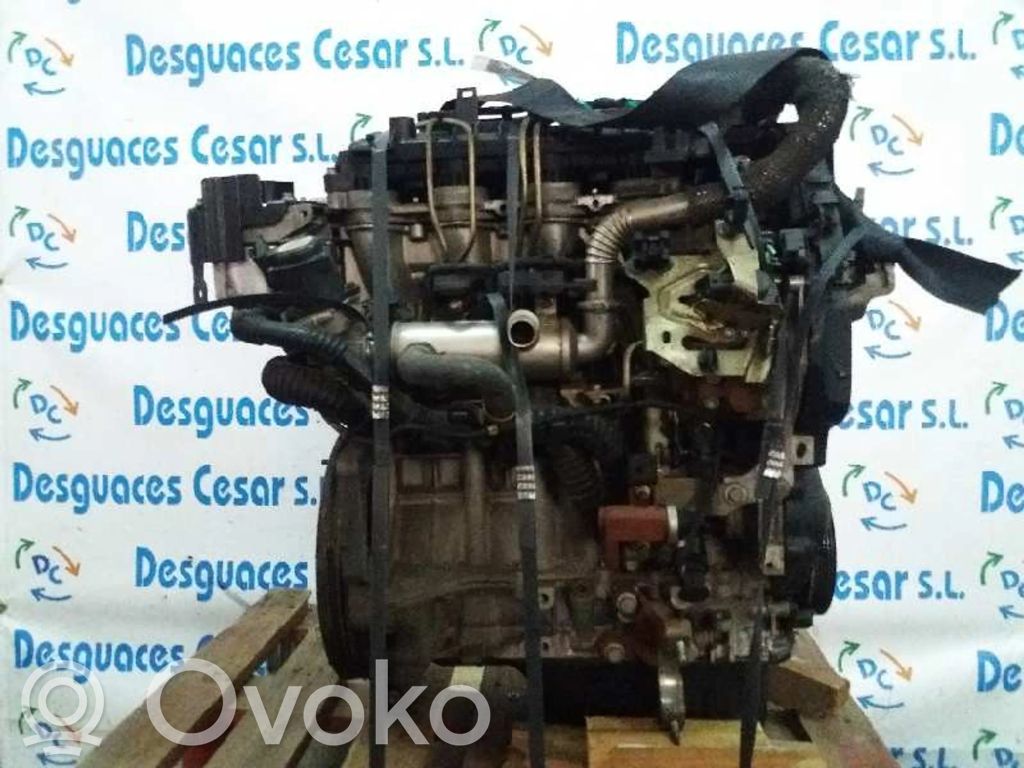Motor   HHDB
