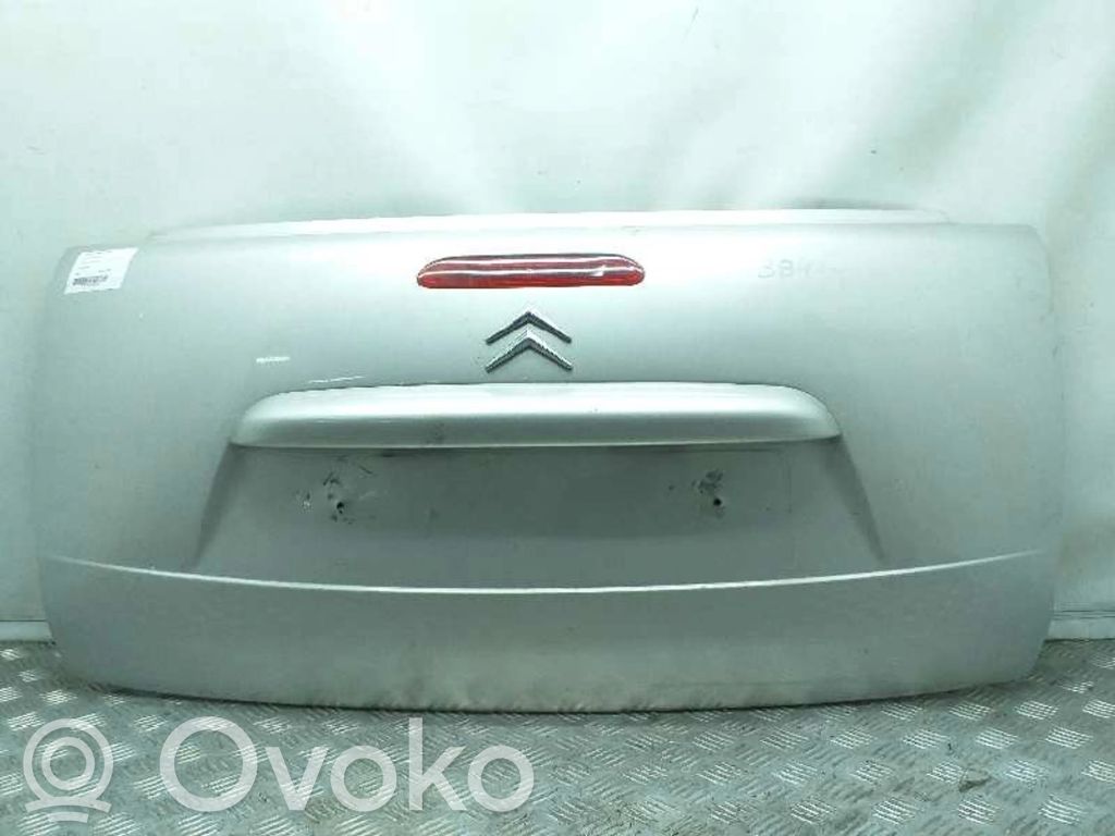 Tailgate/trunk/boot lid