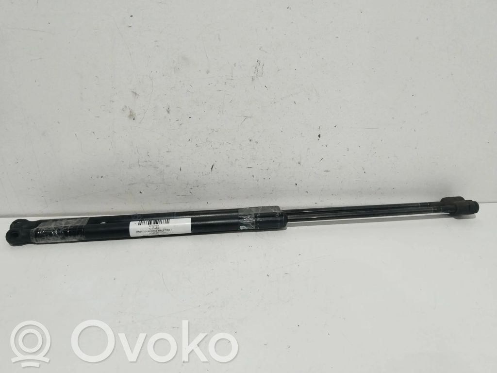 Tailgate/trunk strut/damper   7127875