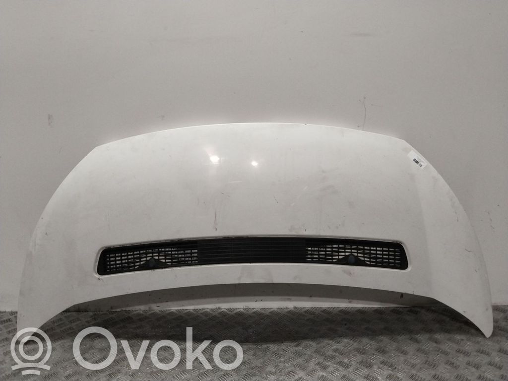 Dzinēja pārsegs (vāks)   1608371780