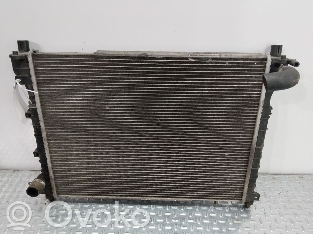 Land Rover Freelander Radiator lichid răcire 