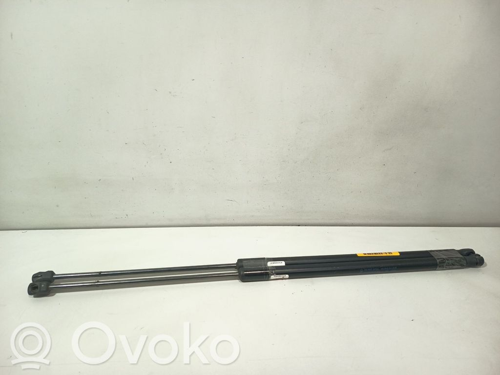 Ford C-MAX II Tailgate/trunk strut/damper 