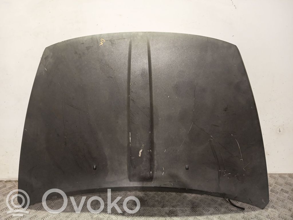 Capó/tapa del motor   5074140AC