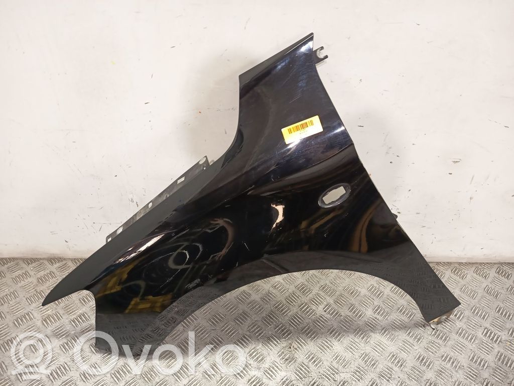 Kotflügel   9674790580,NEGRO