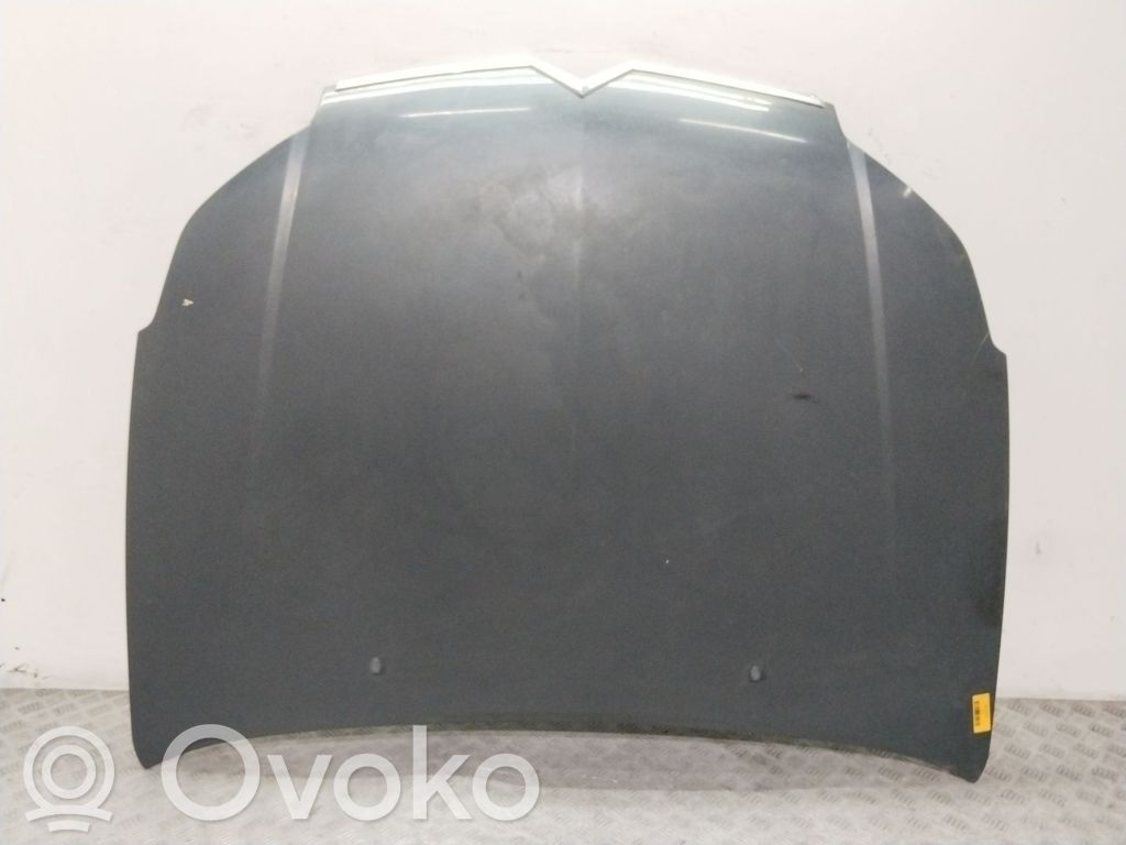 Motorhaube   7901L4