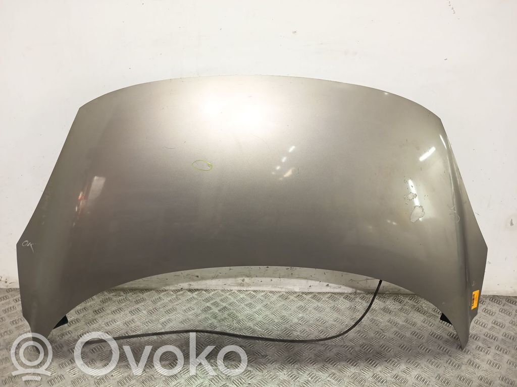 Motorhaube   651008842R