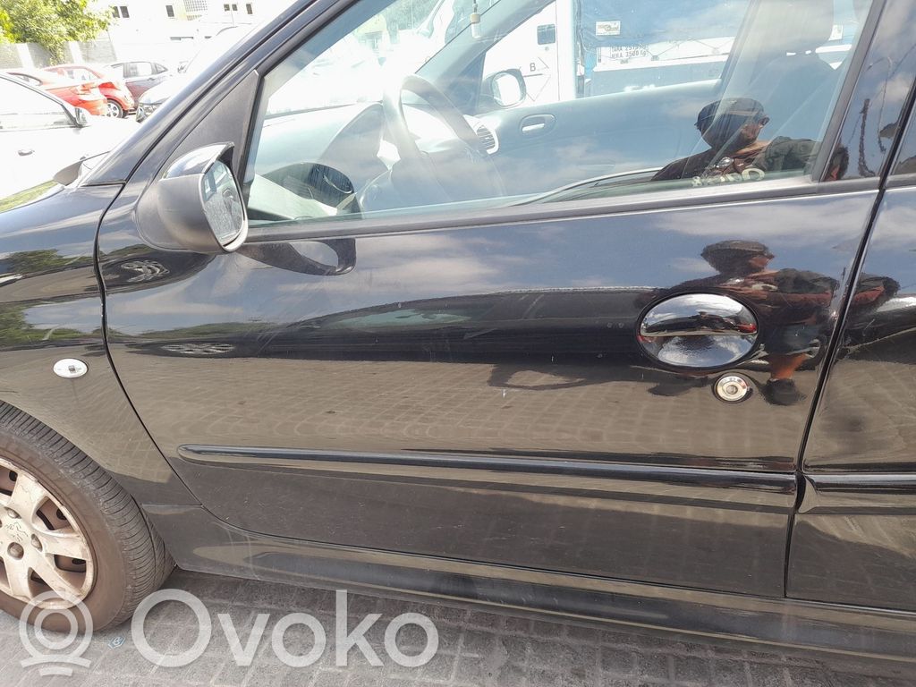 Peugeot 206+ Portiera anteriore 