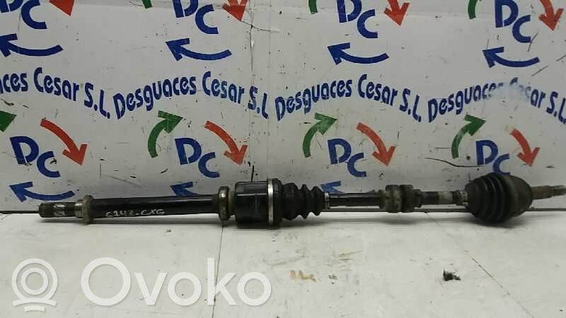 Nissan Micra C+C Semiasse anteriore 