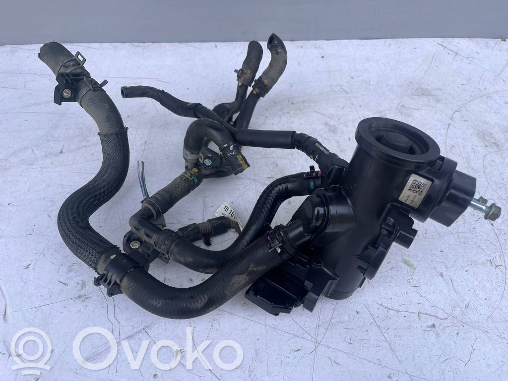 Carcasa del termostato   S5501516Z