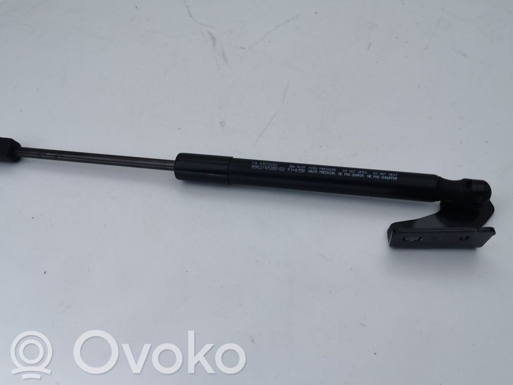 Citroen e-C3 Tailgate/trunk strut/damper 