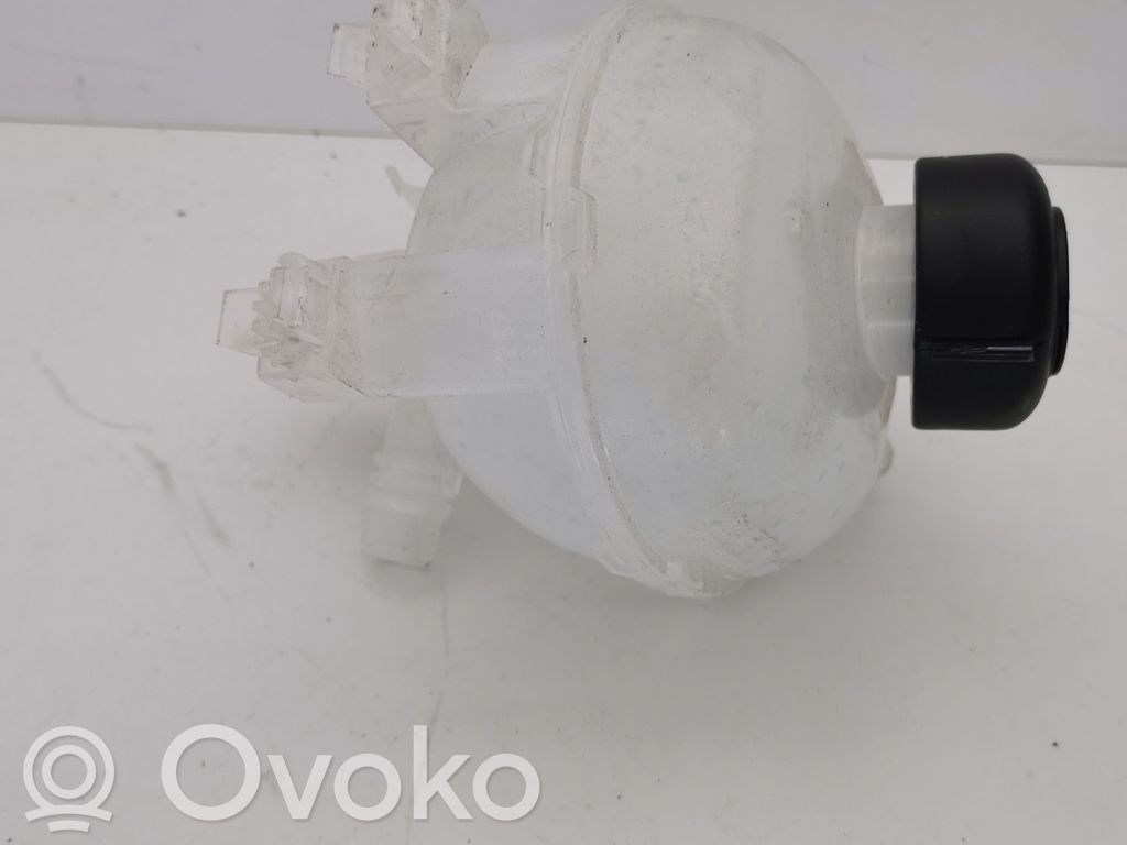 Stabdžių skysčio išsiplėtimo bakelis   9862029280