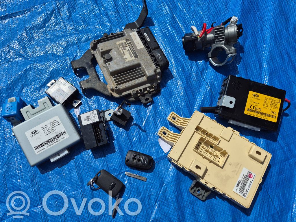 KIA Sportage Unitate/modul de control motor 