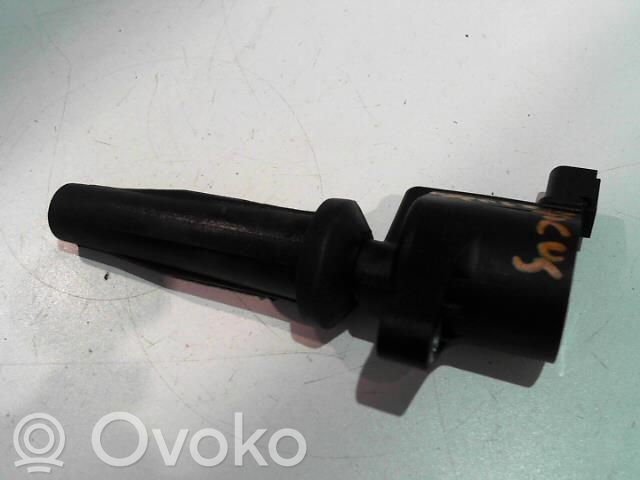 Aukštos įtampos ritė "babyna"   5047437