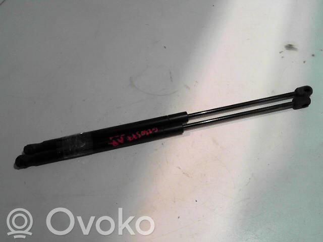 Ford Focus Tailgate/trunk strut/damper 