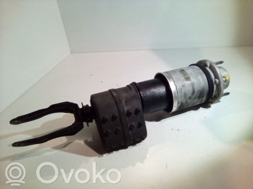 Amortyzator osi przedniej ze sprężyną   PAD616038C
