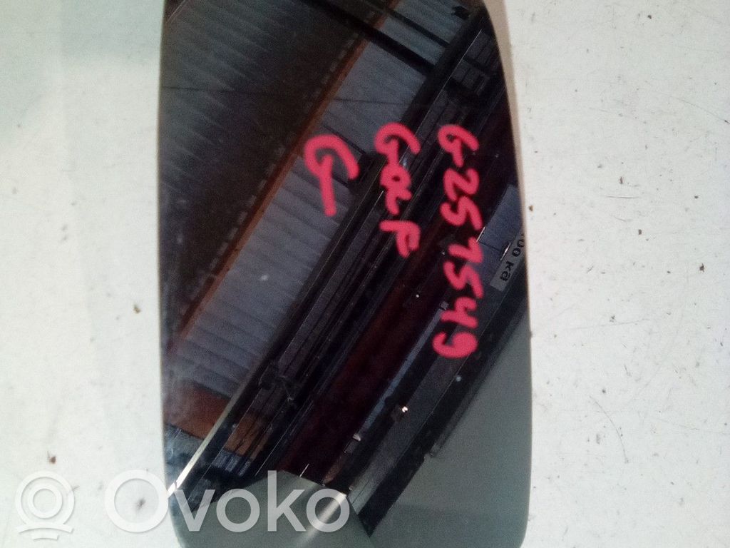 Volkswagen Golf IV Wkład lusterka drzwi przednich 