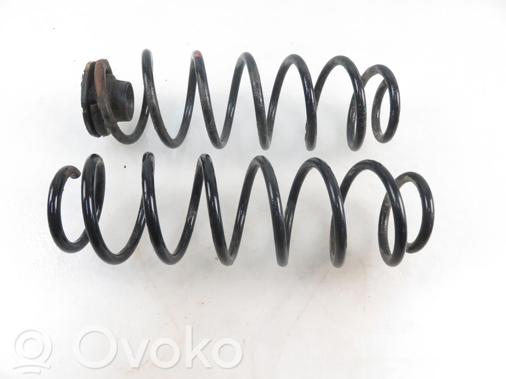 Rear coil spring