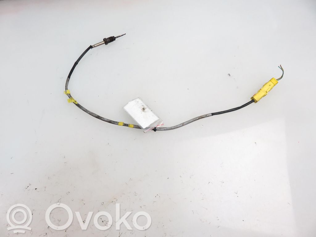 Renault Koleos I Abgastemperatursensor 