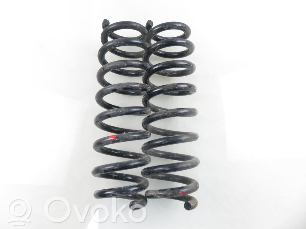 Rear coil spring