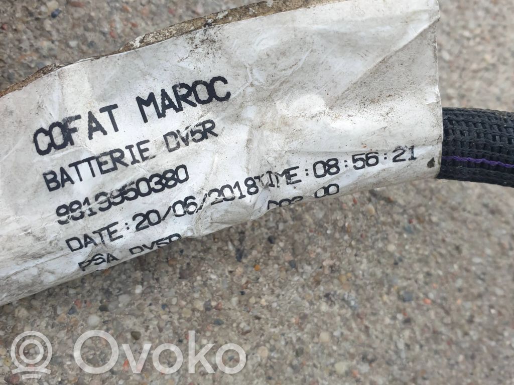 Câble de batterie positif   9819950380