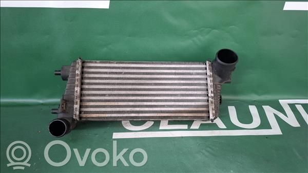Intercooler radiator   BV619L440CG