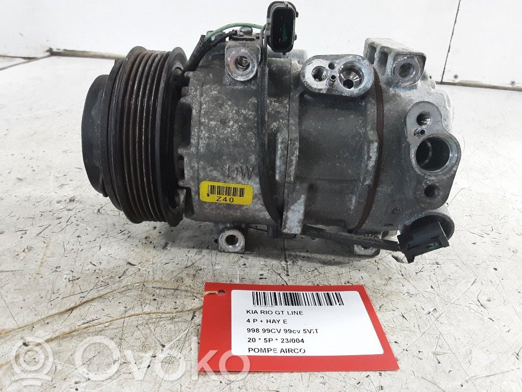 Air conditioning (A/C) compressor (pump)   DVE12N,DVE12N