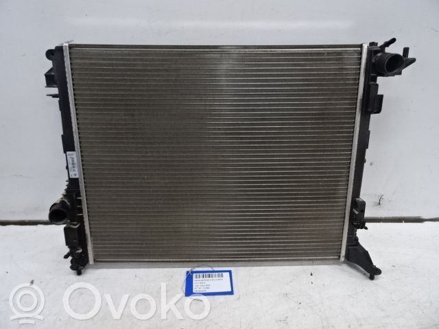 Radiator set   214109798R,214109798R