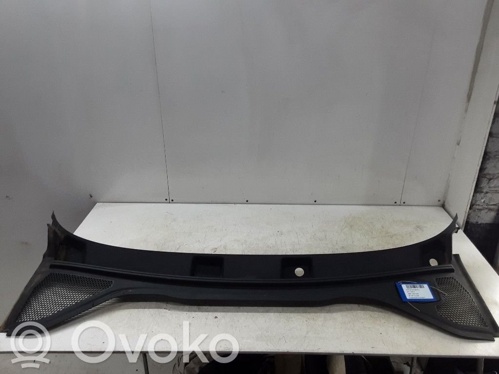 Windshield trim