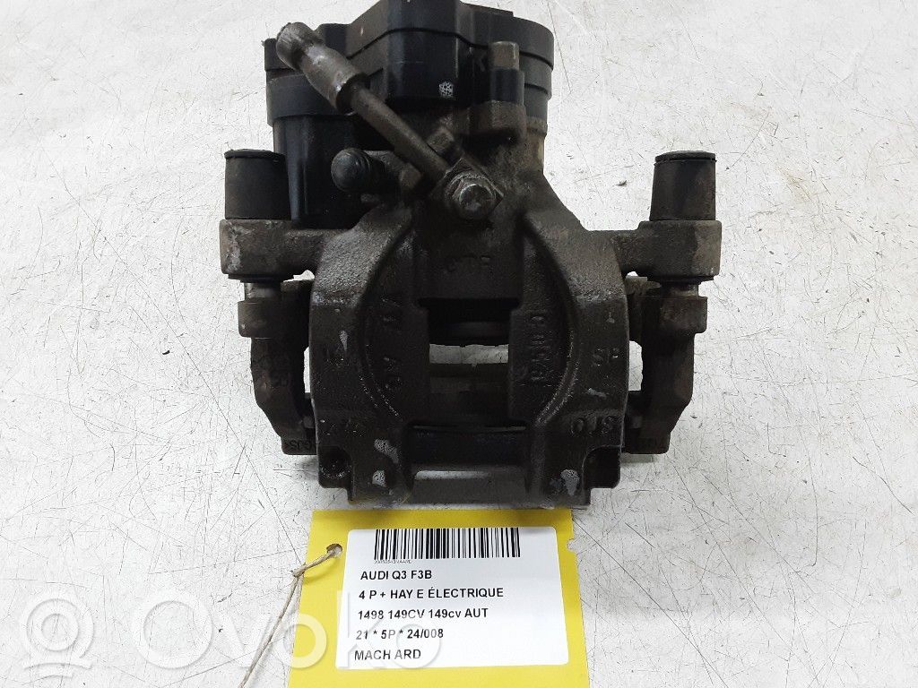 Takajarrusatula   3Q0615406,3Q0615406