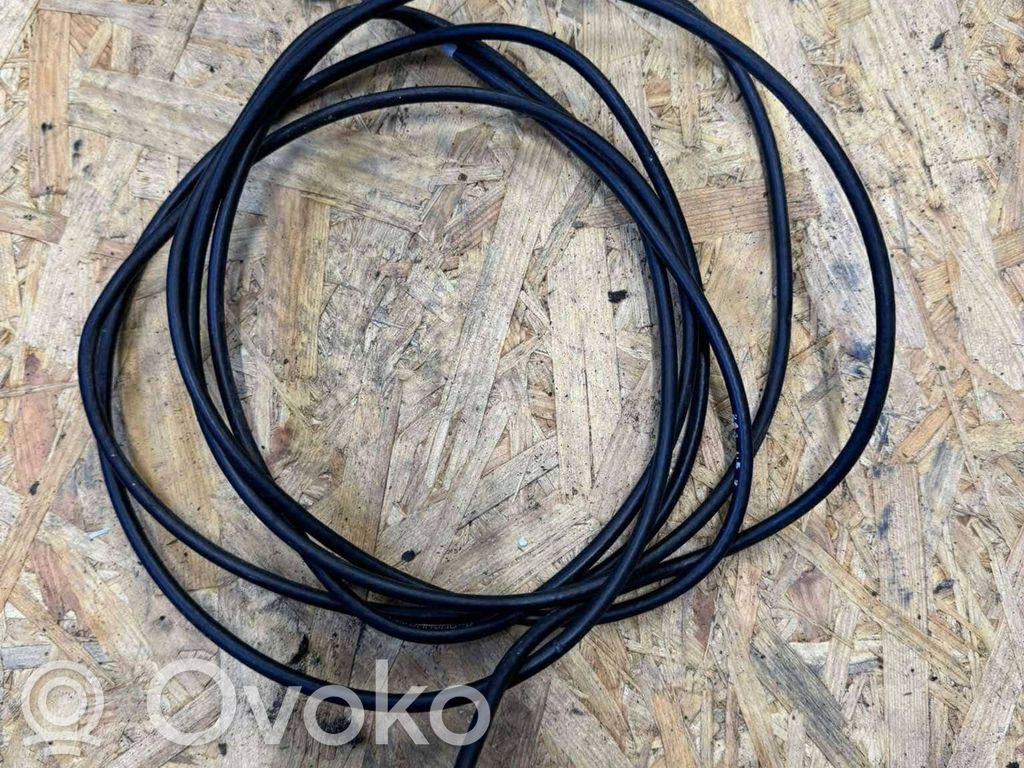 Radion antenni   4199100156