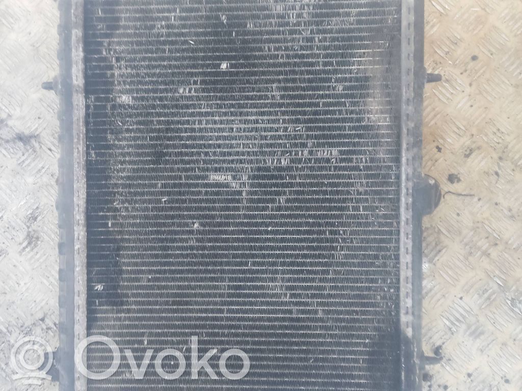 Aušinimo skysčio radiatorius   1498986080,E8047
