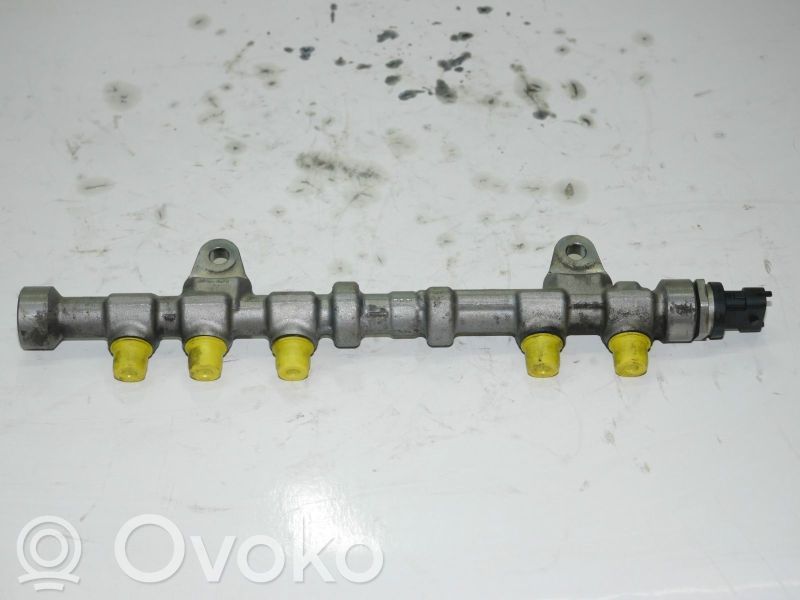 Componente injecție combustibil   55573331,55573331