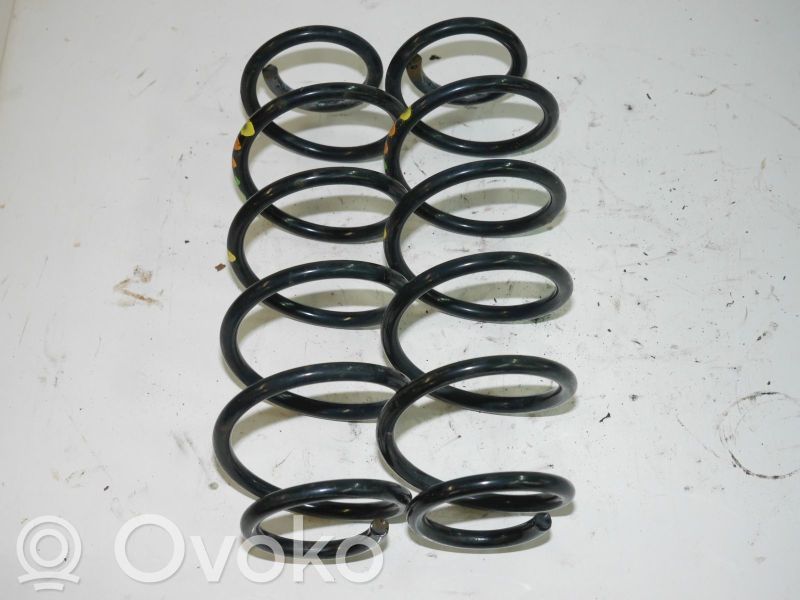 Muelle espiral trasero