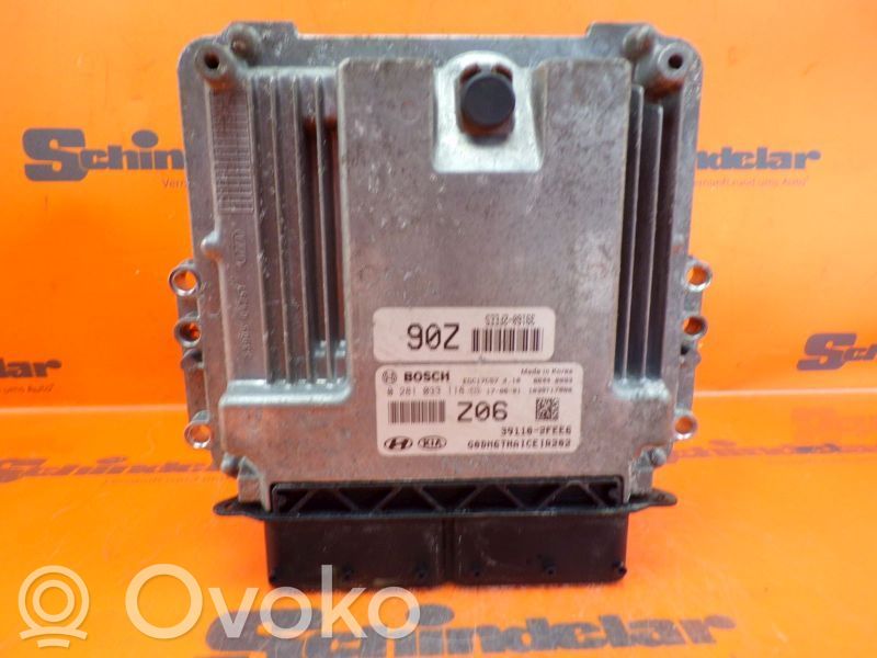 Engine control unit/module   391102FEE6,0281033118,0281033118,391102FEE6