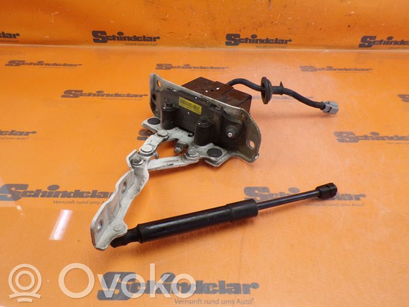 Scharnier Motorhaube   791602W000,791602W000