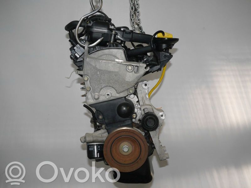 Motor