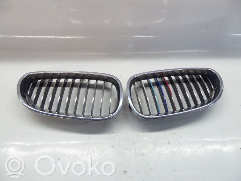 Grille de calandre avant   7027061,7027061